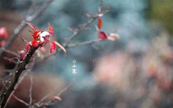 小寒节气习俗大盘点