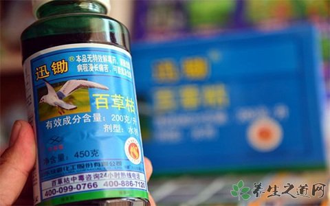 喝下百草枯18天后去世 百草枯中毒症状有哪些