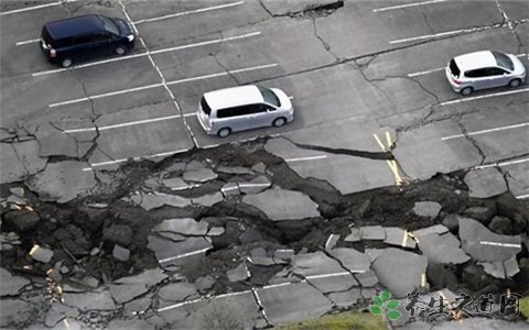 民警婚期遇地震 地震时躲哪里最安全