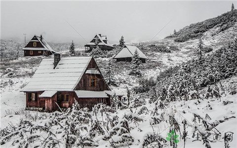 欧洲多国遇暴雪 暴雪天气如何御寒