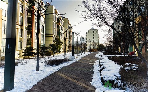 欧洲多国遇暴雪 暴雪天气如何御寒