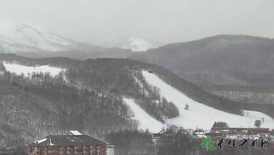 日本滑雪场雪崩 雪崩天气发生前都有哪些征兆