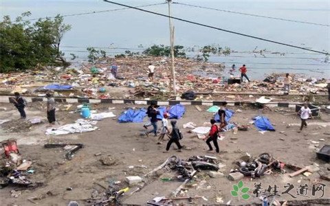 海啸致420人遇难 海啸来临前的征兆