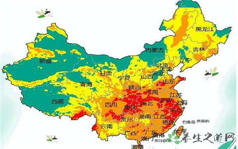 江苏首发蚊子预报 夏天怎么防蚊