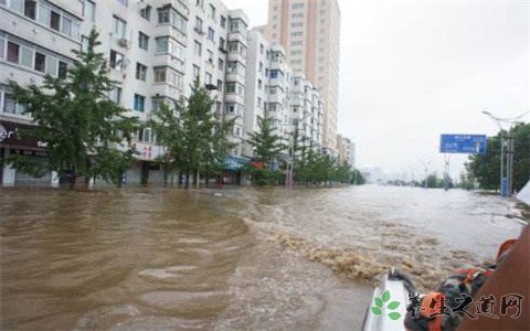 河北辽宁大暴雨 暴雨天怎么做最安全