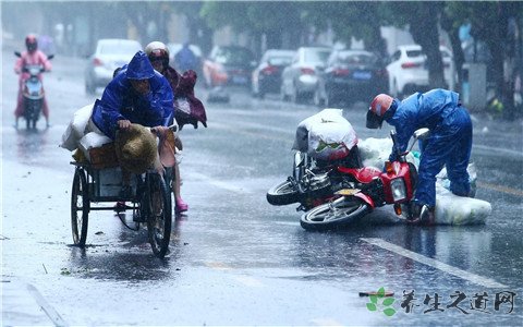 贝碧嘉登陆广东 台风来袭注意事项