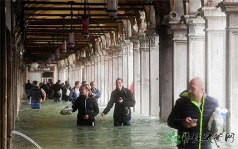 意大利罕见强降雨 遇到洪水来不及撤离怎么办