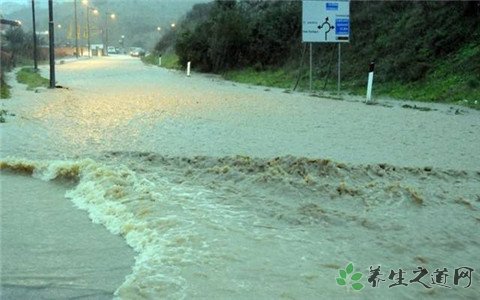 意大利罕见强降雨 遇到洪水来不及撤离怎么办