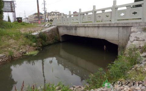 暴雨黄色预警发布 暴雨天应注意什么