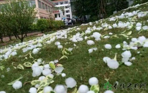 首都机场突降冰雹 冰雹天气的安全注意事项