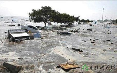 印尼7.7级地震 发生地震怎么逃生