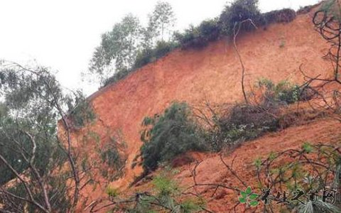 安徽潜山山洪爆发 遭遇突发山洪怎么办