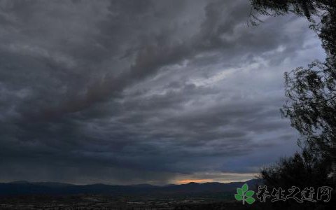 日本强降雨 暴雨的防范措施有哪些