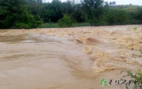 意大利突发洪水 遭遇突发洪水怎么办