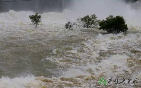 意大利突发洪水 遭遇突发洪水怎么办