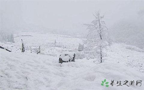 玉树雪灾启动救灾 大雪天气的安全注意事项