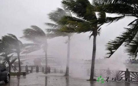 广东暴雨洪涝 下暴雨时该怎么办