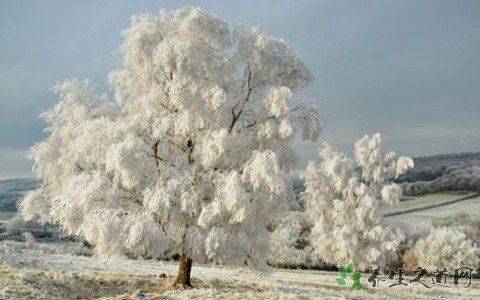 拉萨降雪航班延误 大雪天气出行要注意什么