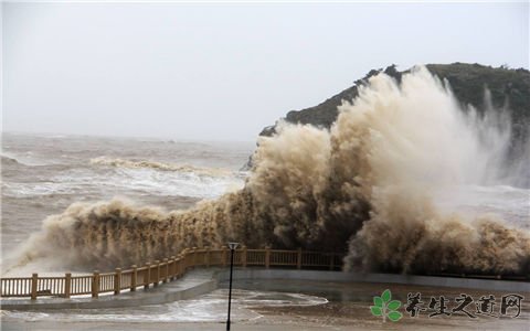 琼州海峡全线停航 台风来临前后注意事项