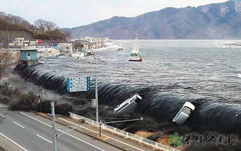 北海道大停电 地震的危害有哪些