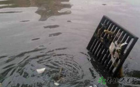 法国暴雨洪水 如何预防暴雨