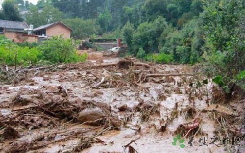 北海道5.8级地震 地震后要注意什么