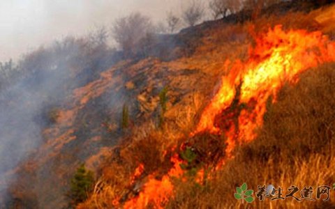 澳大利亚南部热浪 天气炎热要注意什么